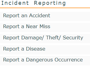 Incident reporting screenshot