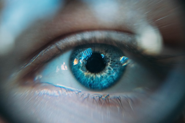 An image of a blue human eye