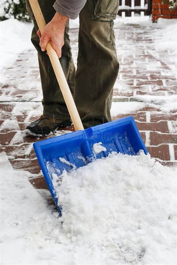 A person clearing snow from the sidewalk with a shovel